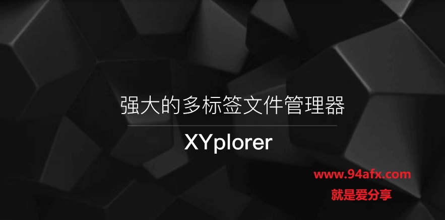 XYplorer破解版|XYplorer（多标签文件管理器）v19.5绿色破解版 附激活码 标签2 标签1 WIN破解软件  第1张