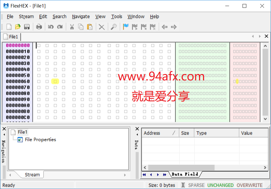 FlexHEX破解版|十六进制编辑器 FlexHEX editor v2.6.0破解版 附注册机 标签2 标签1 WIN破解软件  第1张